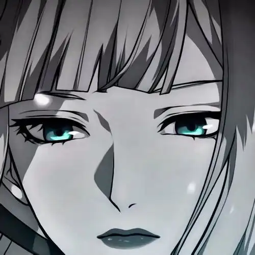 黑白动漫女头借我亡命天涯的勇敢