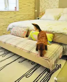 小女生的田园小窝,看她跟狗同房住,日子过得舒服