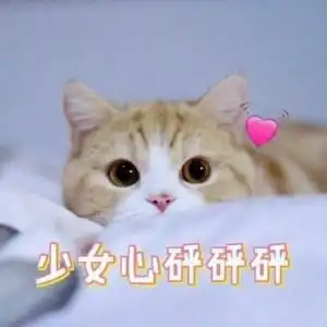 有哪些2000元左右主要用来玩王者荣耀拍照的适合女生的手机值得推荐