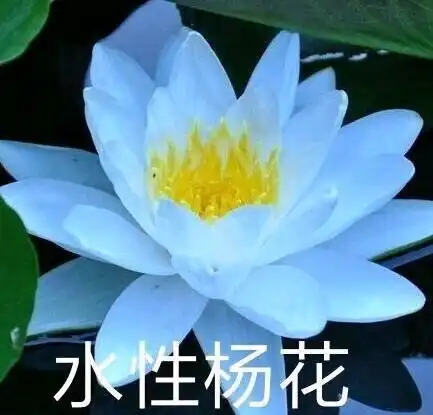 沙雕表情包佛系团头情头闺头