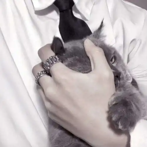 最潮流最有范超酷男生头像,与众不同的男生