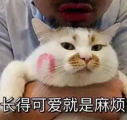 可爱的女生头像微信头像