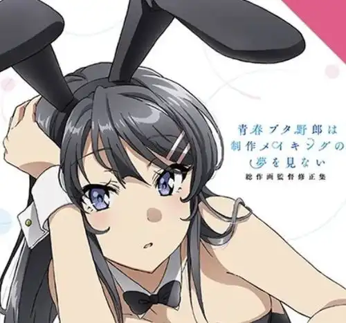 青春猪头少年不会梦到兔女郎学姐麻衣学姐