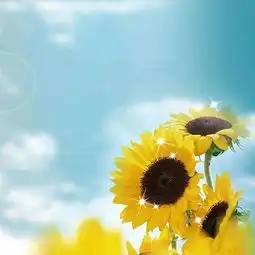 正能量