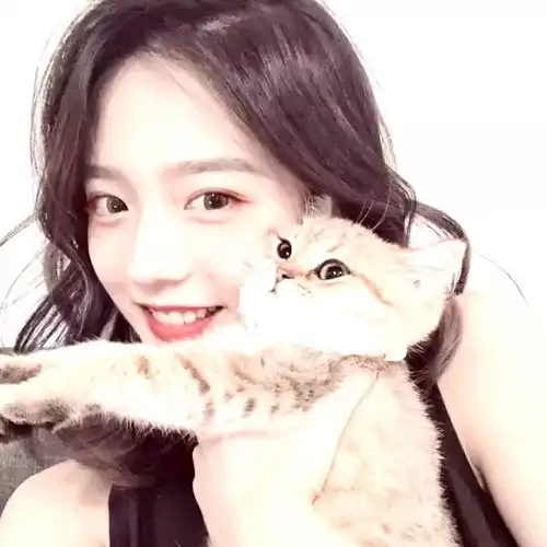 100张超赞的微信头像,任你挑选