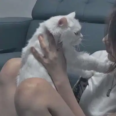 宋念桉小清新暗色系女头你就是女生头像我要个性网