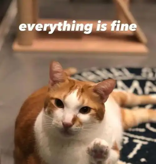 阮经天妈妈因病离世母子最后同框合影照公开