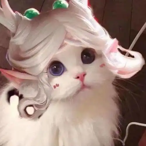 王者荣耀猫头第6期貂蝉女生喵咪接头头像,我真伤打人超疼的快带我上分