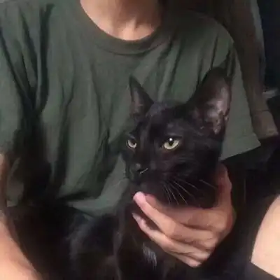 女生真人好看头像不露脸