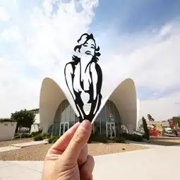 只靠一部相机一张剪纸,他就惊艳了世界