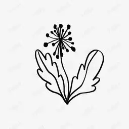 手绘玫蒲公英花卡通矢量素材图片免费下载高清psd千库网图片编号9779597