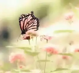 营业员何迎春求职简历