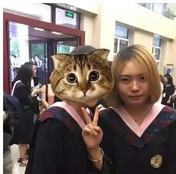 18岁上北大,24岁成北大废物,铁岭女孩李雪琴的逆袭,丧赢了