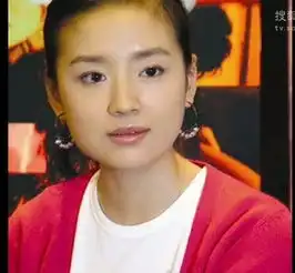 董洁哭谈离婚揭董洁哭谈离婚原因始末3