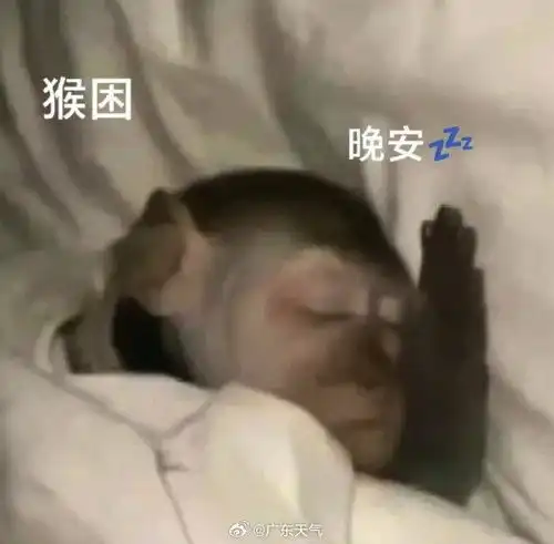 盖被子晚安头像