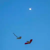 微信头像风筝天空放风筝的唯美头像微信头像图片大全