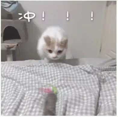 几件夏天基础款穿搭,让你轻松打造高级法式风