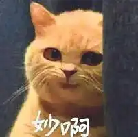 奇葩政策允许下,女子生二胎居然被罚款扣绩效,只因为