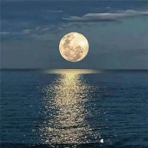 颐指气使,普大喜奔,蓝得大快人心