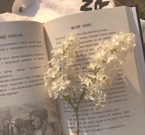 治愈系背景图可以写在纸条上,给自己加油的励志文案