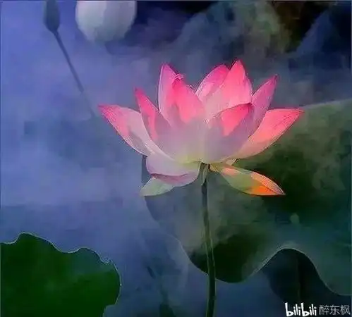 人生在世,多行善事,多积善德,终有善缘善果