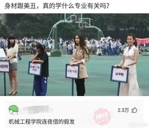 长远来看,妻子长得漂亮重要吗哈哈哈哈哈,神评无敌了