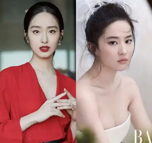 一菲跟二菲长相差别