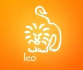 适合狮子座的鞋子都是哪种类型的