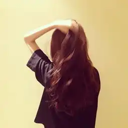 求相同风格的图片