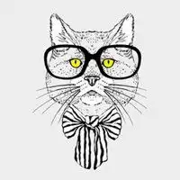 卡通猫咪戴墨镜的头像