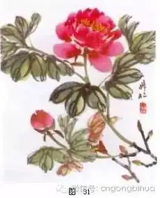 怎样画牡丹深度好文