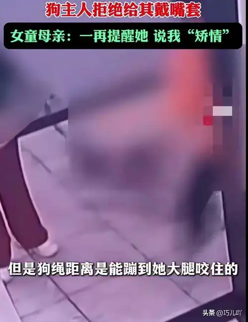 宠物犬追扑咬伤女童,狗主人拒绝赔偿并叫嚣太矫情网友怒评