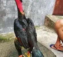 黄页88高清图片
