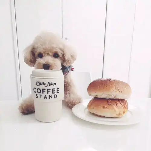 11.22小头像壁纸