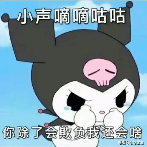 库洛米表情包来啦