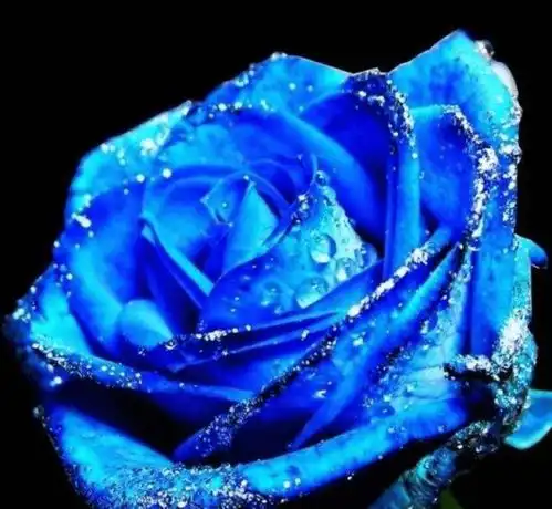 这三大生肖女,天生的旺夫益子,娶回家注定富甲一方