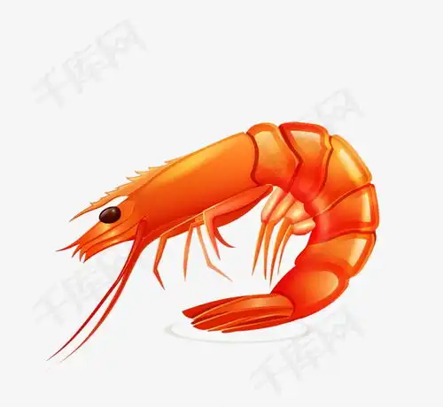 卡通大虾素材图片免费下载高清装饰图案png千库网图片编号2317480