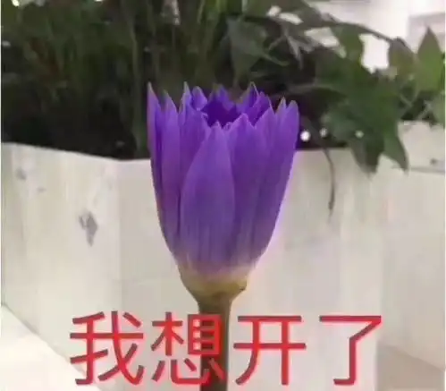 听说,文化人早就不用你那套表情包了