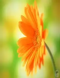 说简单就简单复杂背景抠取婚纱合成实例图