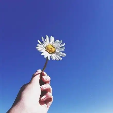 青春励志个性签名语录,句句正能量