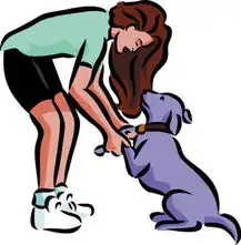 新商报数字报刊平台