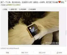 郑爽的狗小七夺冠,孙俪专注收养流浪狗,吴亦凡的狗狗被嫌丑明星和爱犬竟还有这么多小故事