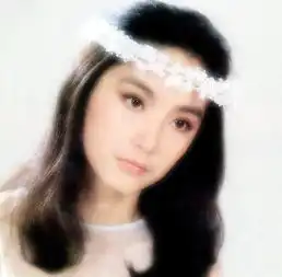 12名花样奶奶整形冲击春晚盘点奶奶级美女明星