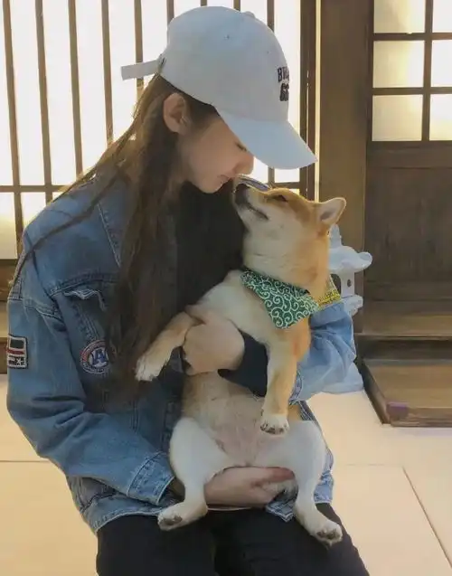 现在的选秀节目越来越多了,就好比如说这段时间比较火的创造营3,