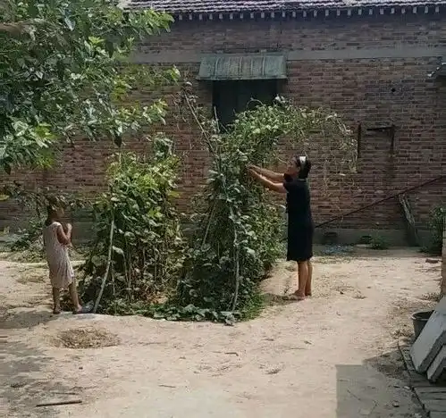 18岁女孩707分考入北大一篇感谢贫穷感动无数网友