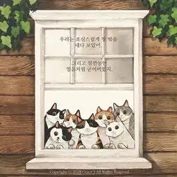 这个品种的猫,你绝对不能养