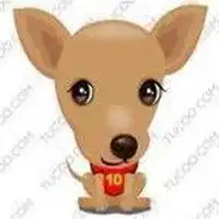 美女牵狗头像卡通微信头像图片大全