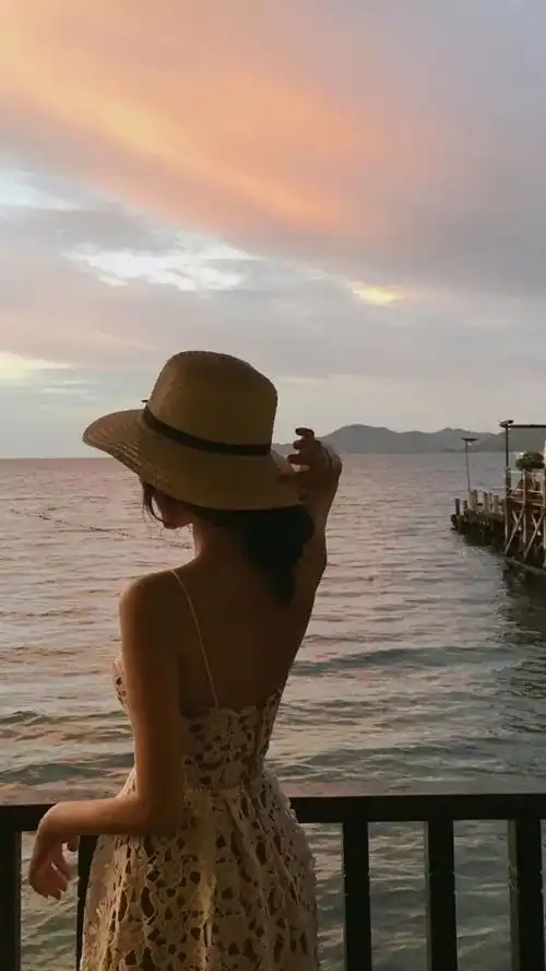 晚安愿你有物暖身,有人暖心评价