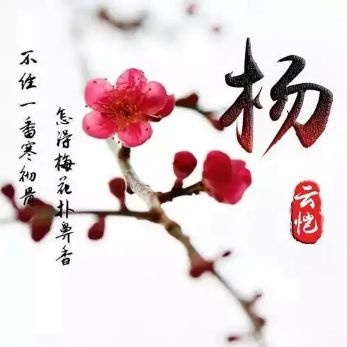 画中画头像女生带字春寒