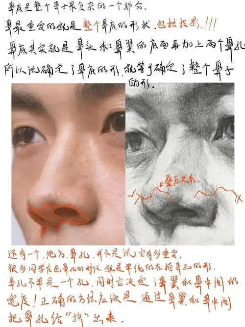 如何画好头像的鼻子不要再往鼻头上画些奇奇怪怪的东西啦附带课件讲解